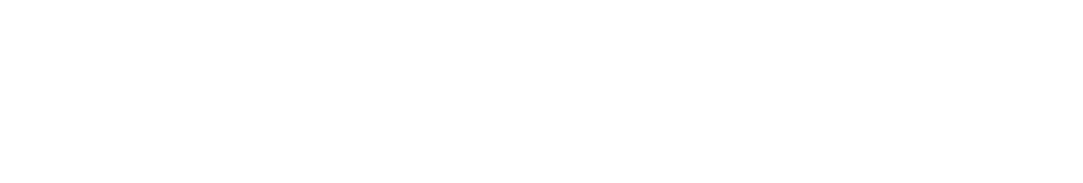networkerz logo